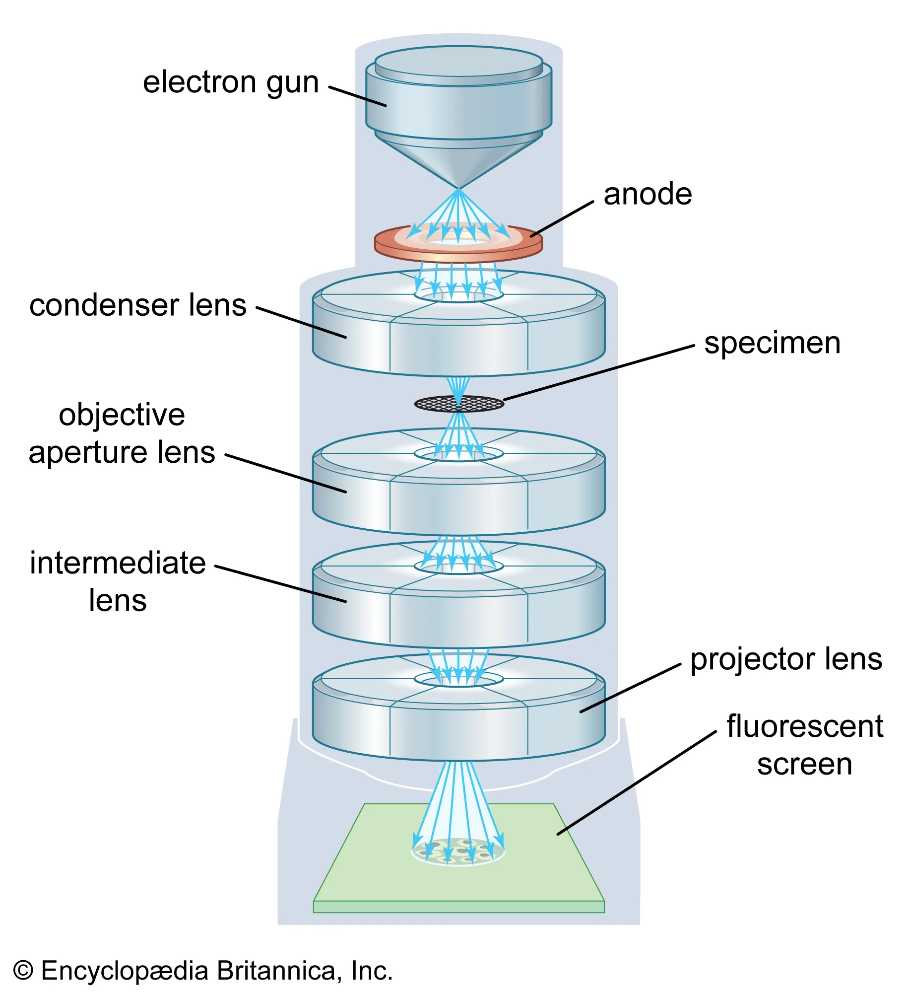 Basic diagram of how an electron microscope works